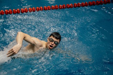 Erkek yüzücü, serbest stil yüzme pistinde kapalı havuzda.