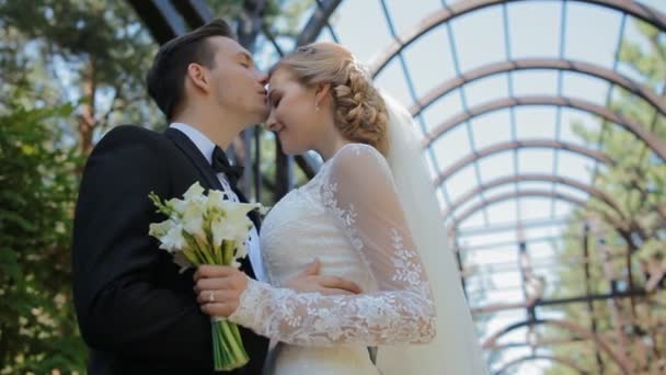 Νύφη και γαμπρός θέτουν φωτογράφο εξωτερική — Αρχείο Βίντεο