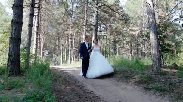 Sposa e sposo passeggiano nella pineta — Video Stock