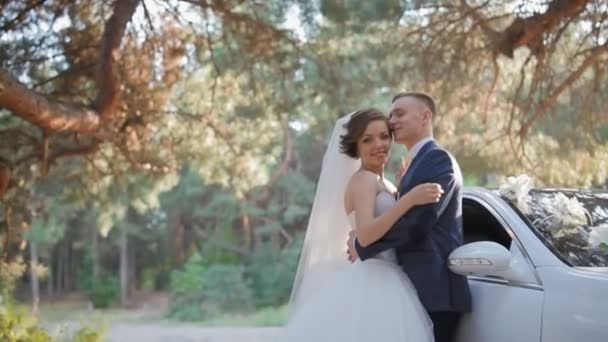 Bride and groom pose near the car — Stock Video