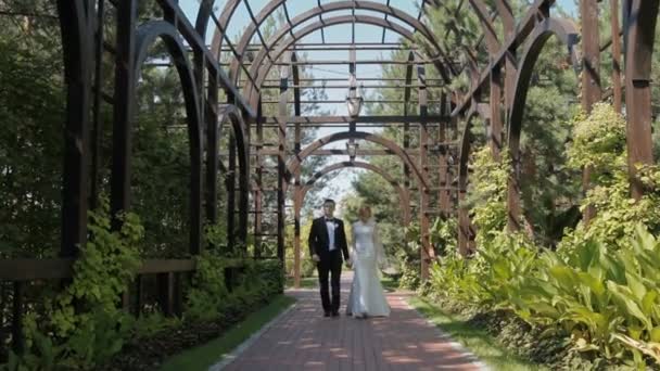 Невеста и жених прогулка в парке — стоковое видео