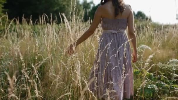 Женщина касается высохшей сухой травы в поле — стоковое видео