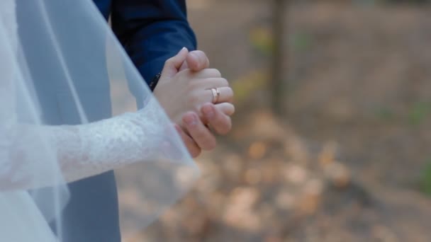 Groom hold hand of his bride — Stock Video