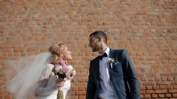 Bride and groom kiss in front of of the brick wall — Stock Video