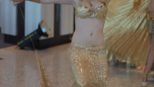 Шоу-балет и их танец — стоковое видео