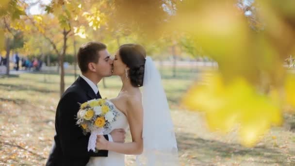 Bruid en bruidegom kussen onder gele bladeren — Stockvideo