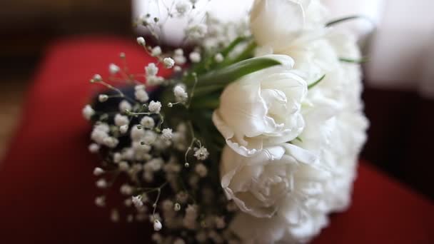 Bel bouquet da sposa di tulipani bianchi su ramo rosso — Video Stock