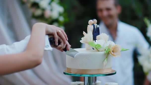 Braut und Bräutigam schneiden Hochzeitstorte an — Stockvideo