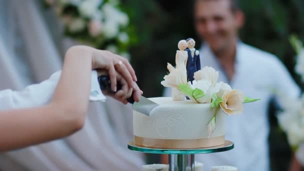 Noiva e noivo corte bolo de casamento — Vídeo de Stock