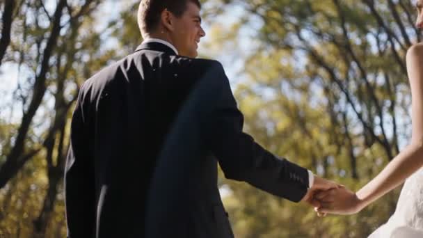 Los jóvenes caminan tomados de la mano. Sesión de fotos de boda . — Vídeo de stock