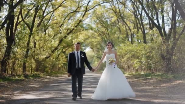I giovani camminano tenendosi per mano. Sessione foto matrimonio . — Video Stock