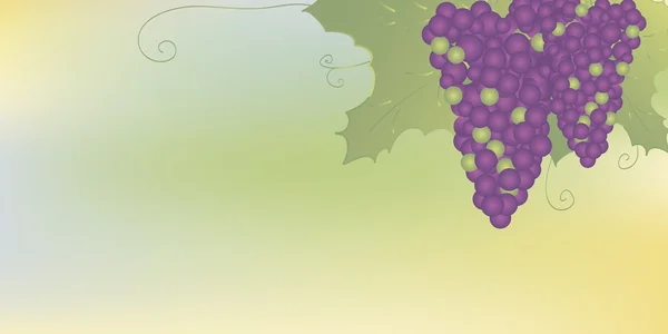 Demet üzüm yaprakları ile