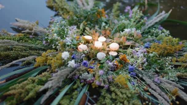 Une couronne d'herbe bigarrée sur l'eau — Video