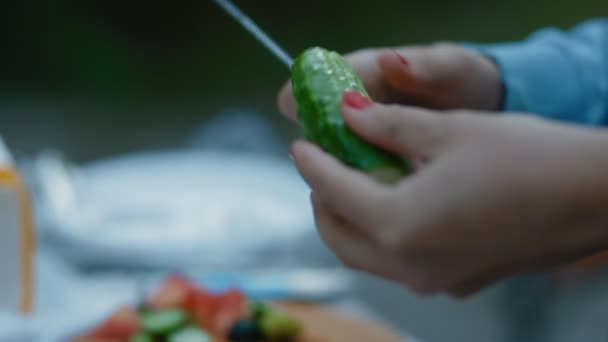 Une femme a coupé du concombre sur le pique-nique. Extérieur . — Video