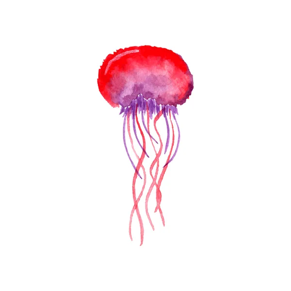 Aquarela roxo e vermelho medusa — Vetor de Stock