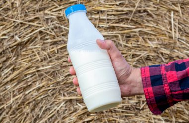 Adam tarlada taze biyosüt içiyor. Arka planda, samanlıkta, çimenlerde, çiftlikte.