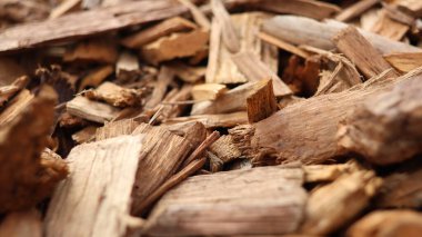 Wood Chips 'e yakın çekim. Yüksek kalite fotoğraf