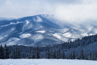 Kayak Merkezi Bukovel, Ukrayna. 