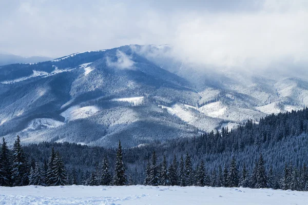 Ośrodka narciarskiego Bukovel, Ukraina. — Zdjęcie stockowe