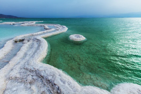 Beautiful coast of the Dead Sea . — Stock Photo, Image