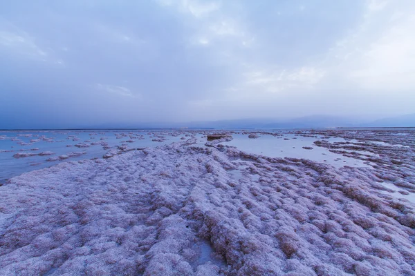 Schöne Küste des toten Meeres . — Stockfoto