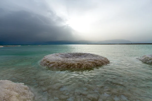 Belle côte de la mer Morte  . — Photo