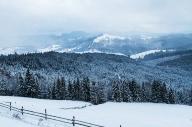 Kayak Merkezi Bukovel, Ukrayna. 