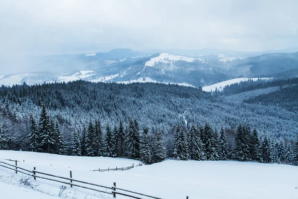 Comprensorio sciistico Bukovel, Ucraina . — Foto Stock