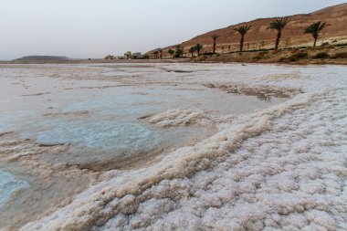 Ölü Deniz'in güzel sahil . 