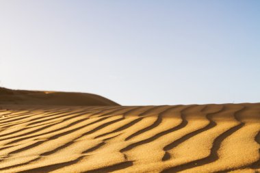 Gün batımında çöl kumları .