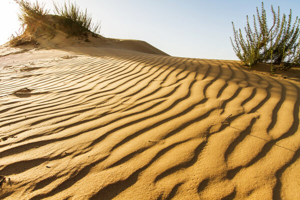 Песок пустыни на закате
 .