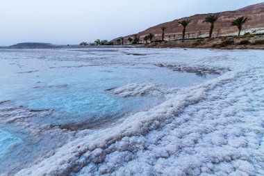 Ölü Deniz'in güzel sahil .