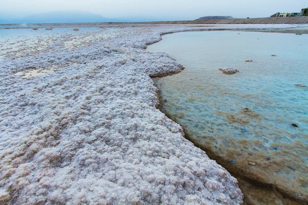 Belle côte de la mer Morte  . — Photo