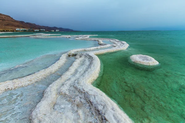 Belle côte de la mer Morte  . — Photo