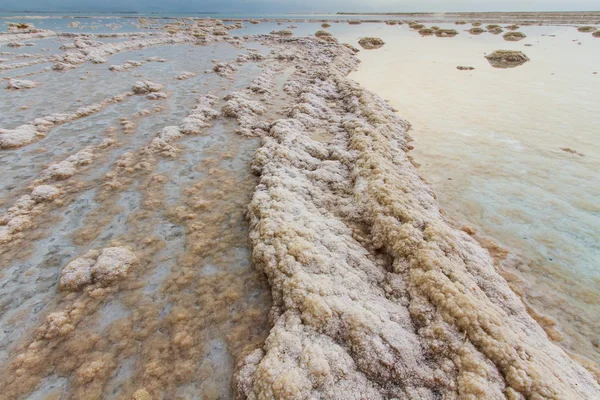 Beautiful coast of the Dead Sea . — Stock Photo, Image