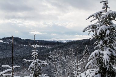 Kayak Merkezi Bukovel, Ukrayna.