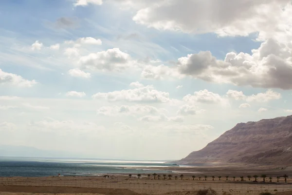 Krásné pobřeží Mrtvého moře . — Stock fotografie