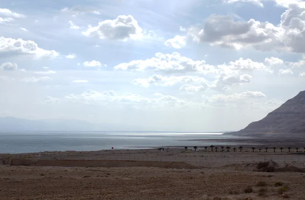Piękne wybrzeże Morza Martwego . — Zdjęcie stockowe