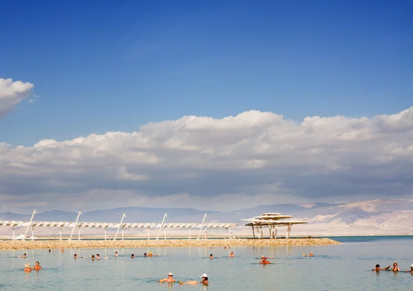 Gyönyörű partján, a Holt-tenger . — Stock Fotó