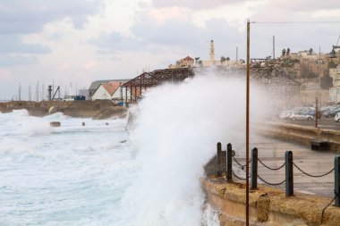 Jaffa bağlantı noktası.