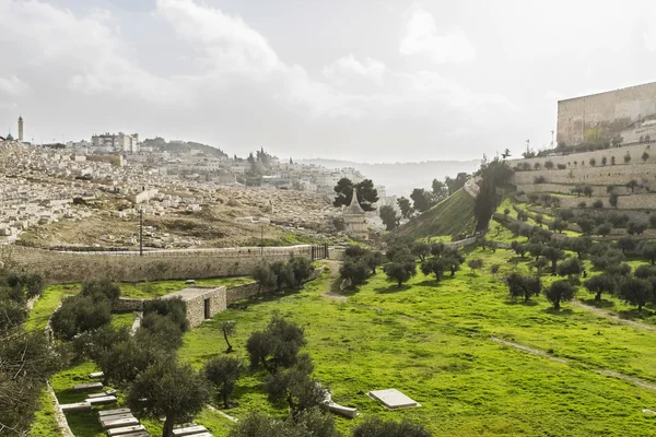 Kidron vallei. Jeruzalem — Stockfoto