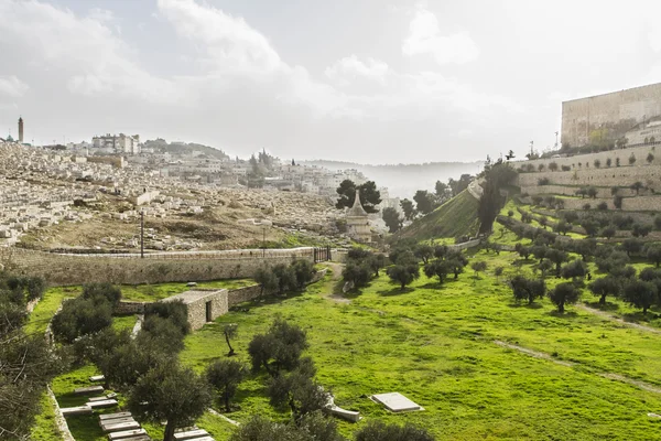 Kidron vallei. Jeruzalem — Stockfoto