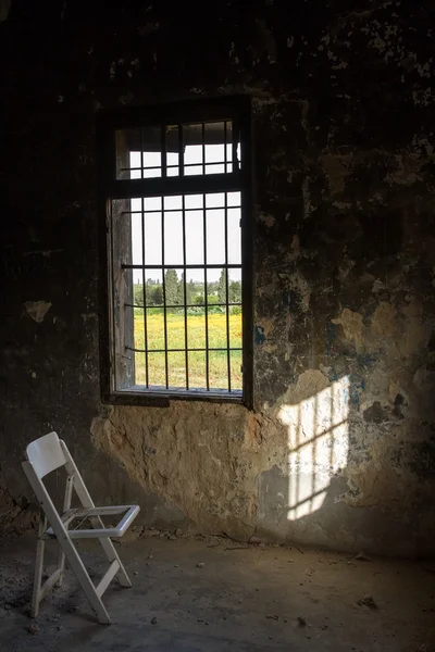 View of summer from the old window . — Stock Photo, Image