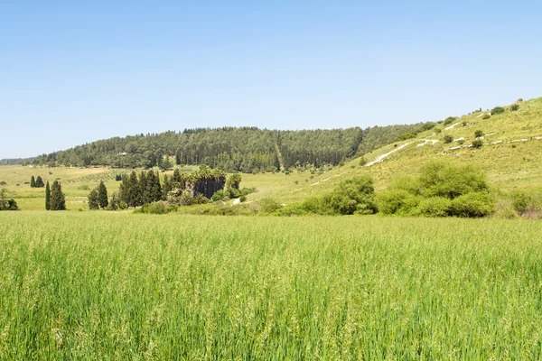 Prachtig landschap. — Stockfoto