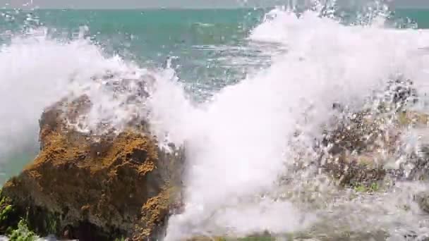 Turquoise rolling wave slamming on the rocks . — Stock Video