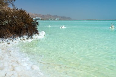 Ölü Deniz'in güzel sahil .