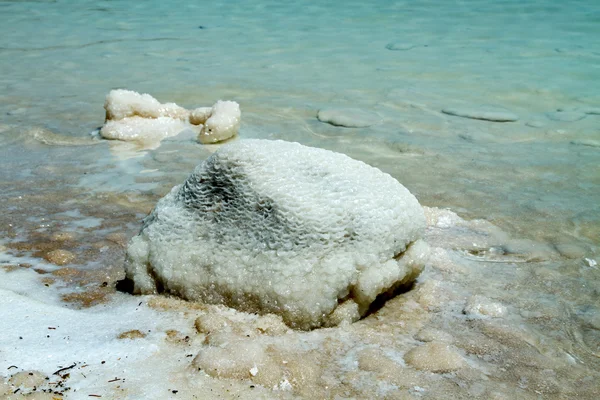 Beautiful coast of the Dead Sea . — Stock Photo, Image