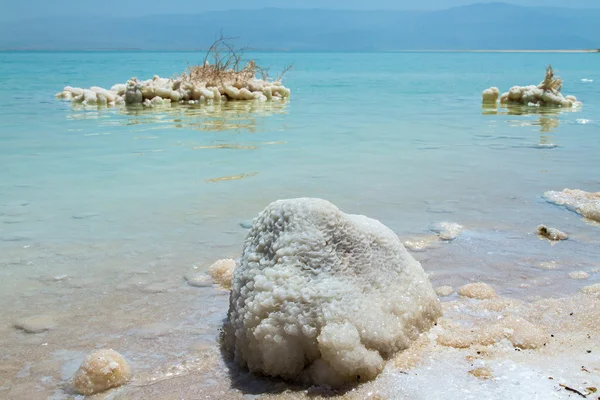 Piękne wybrzeże Morza Martwego . — Zdjęcie stockowe