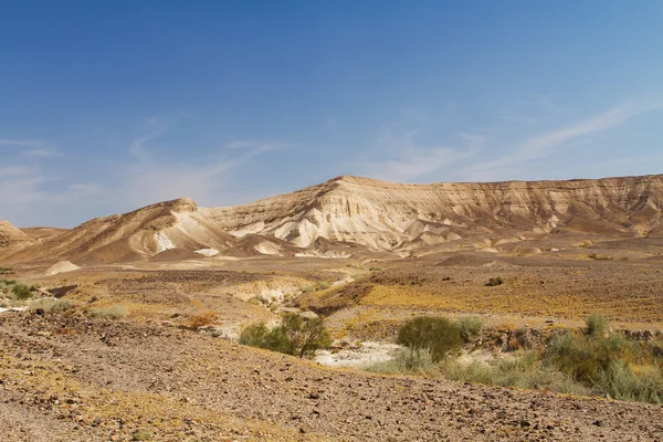 Dead sea cliffs . — Stock Photo, Image