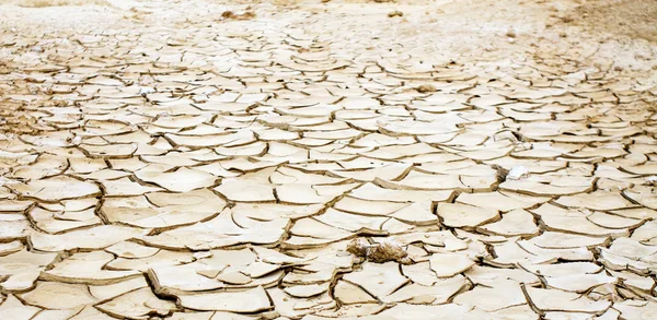 Drought land — Stock Photo, Image